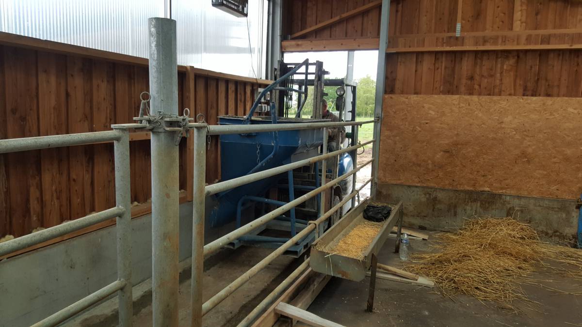 Création d&#8217;une allée en béton dans une étable exisatnte. Guebwiller 0