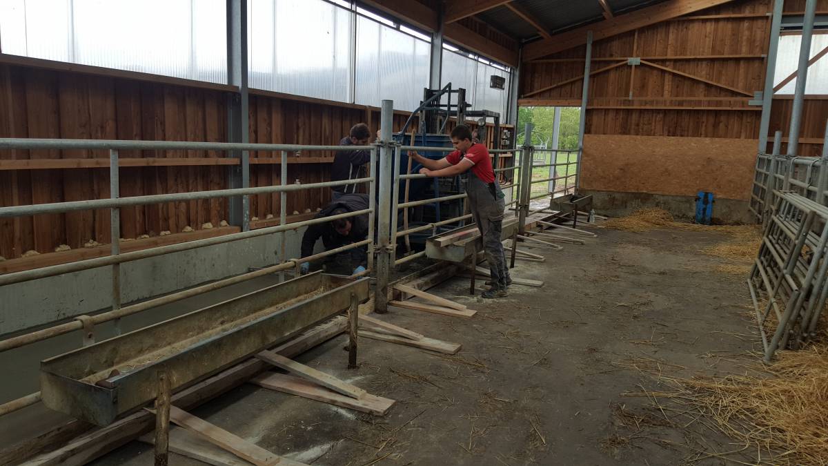 FERME &#8220;ZUM BURAHISLA&#8221; UNGERSHEIM. Wittelsheim