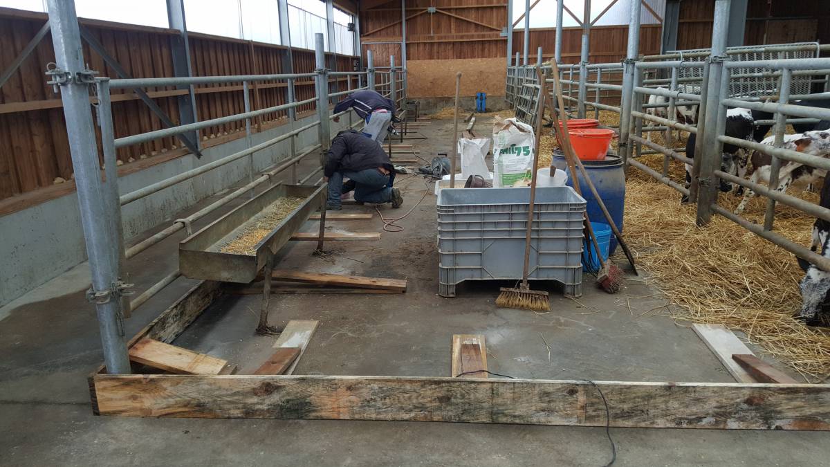 Création d&#8217;une allée en béton dans une étable exisatnte. Illzach 2