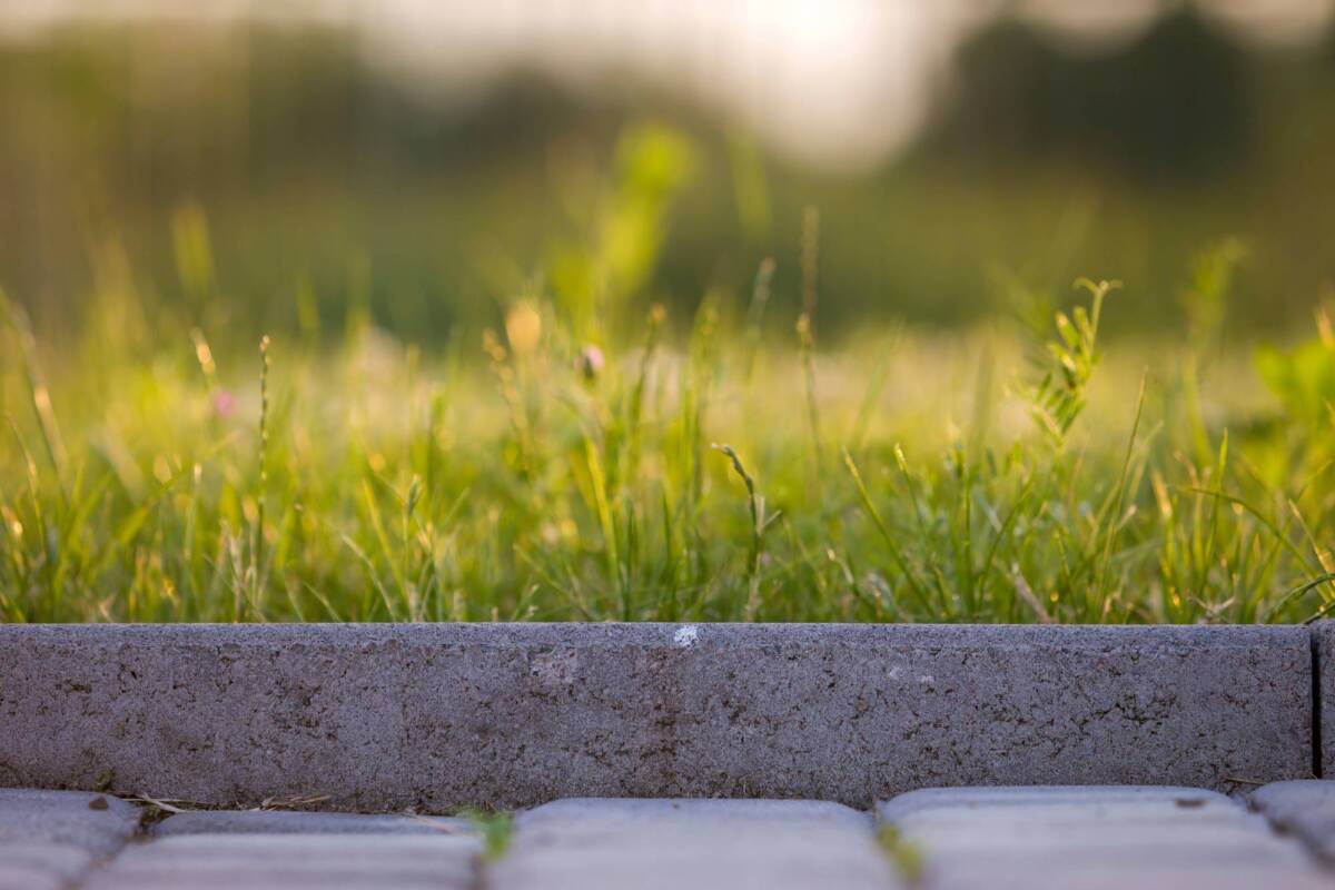 À quoi sert une bordure de jardin ? Pfastatt