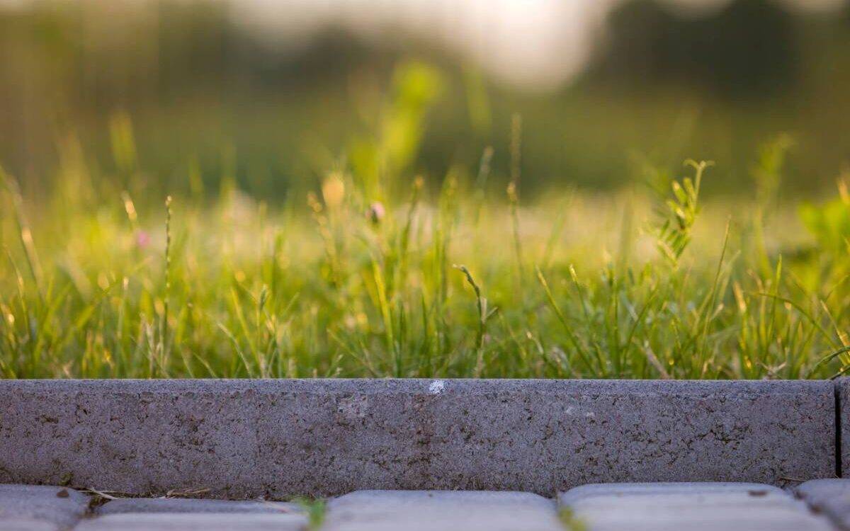 À quoi sert une bordure de jardin ? Pfastatt